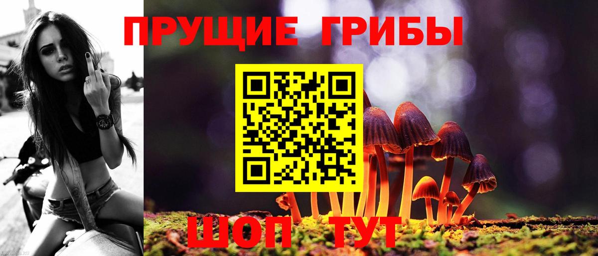 закладка  Галлюциногенные грибы ЛСД  Вход с VPN  Сатка  Галлюциногенные грибы GOLDEN TEACHER 